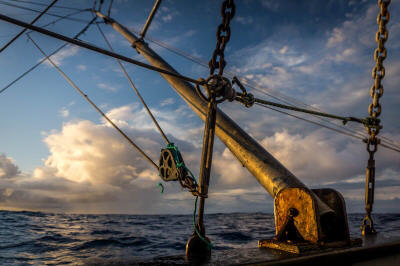 tuna fish photo with anchor chain