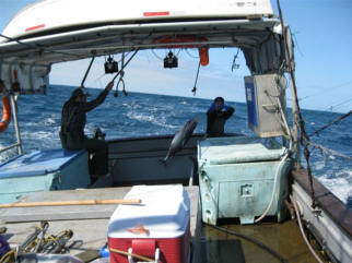Tuna fishing in the Estevan cockpit.